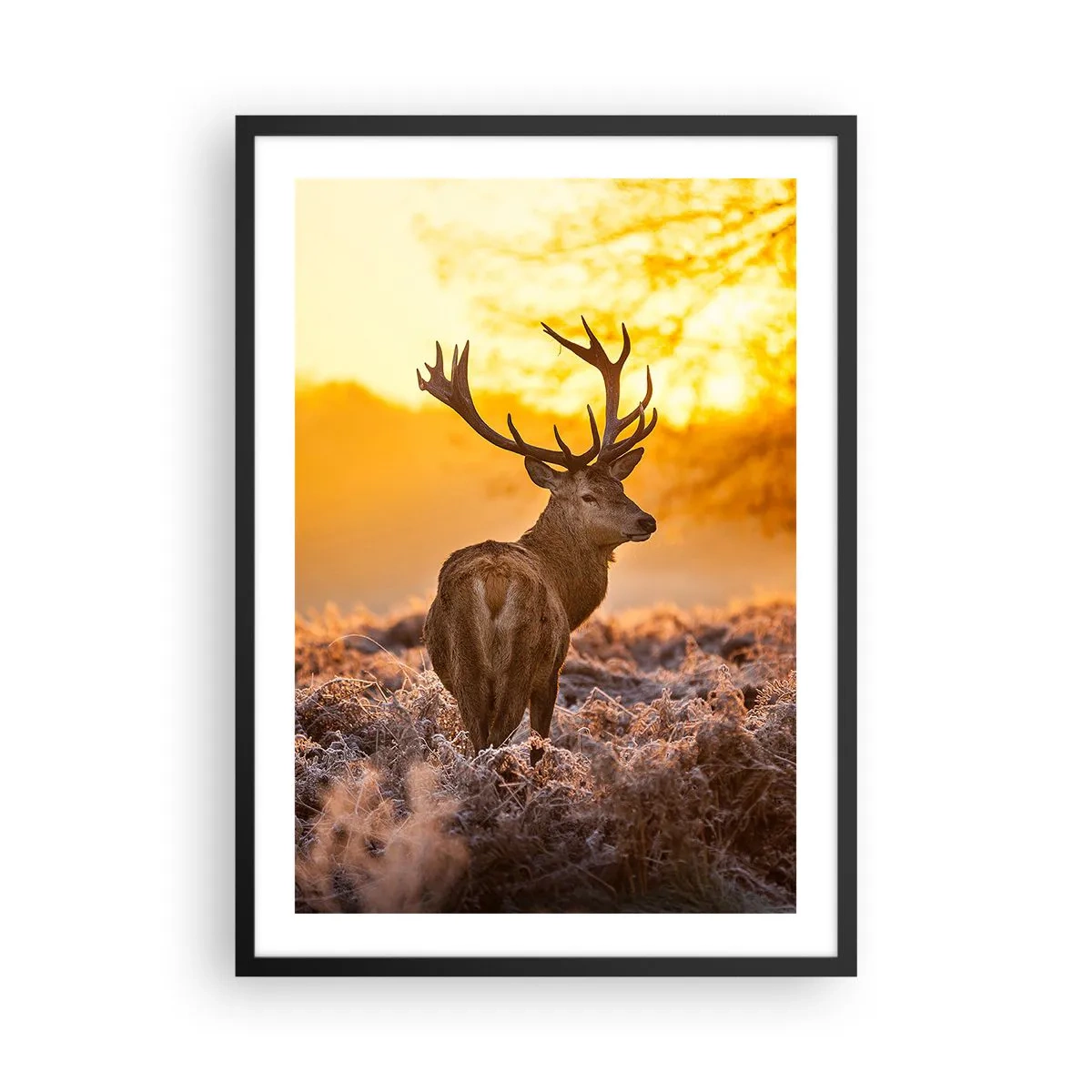 Poster in cornice nera - Un cervo sullo sfondo di un'alba dorata - 50x70cm - Il re del bosco estivo - Decorazione murale moderna per soggiorno e camera da letto ARTTOR