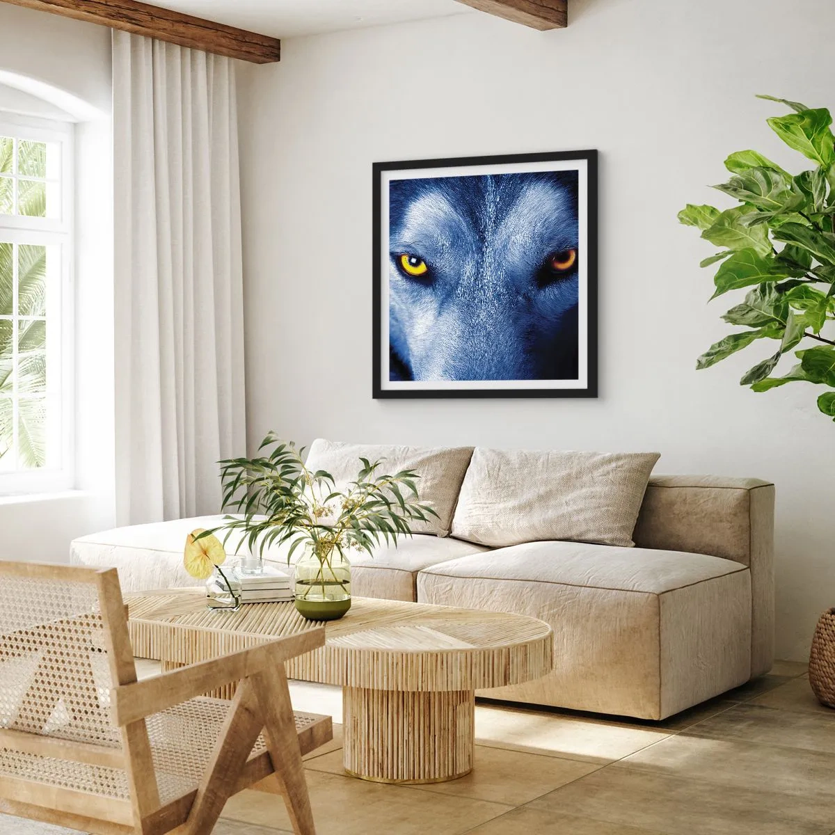 Poster in cornice nera - Sguardo ipnotico - 60x60 cm