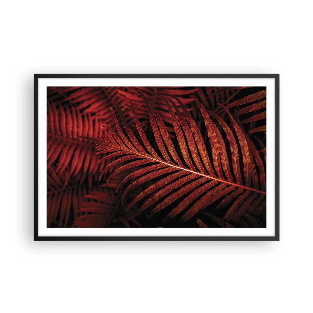 Poster in cornice nera - Il calore della vita - 91x61 cm