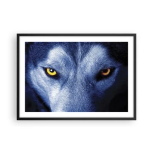 Poster in cornice nera - Primo piano dello sguardo intenso di un lupo su uno sfondo scuro - 70x50cm - Sguardo ipnotico - Decorazione murale moderna per soggiorno e camera da letto ARTTOR