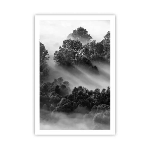 Poster - Risveglio dal sonno - 61x91 cm