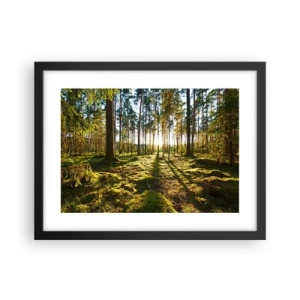 Poster in cornice nera - …dopo sette foreste - 40x30 cm