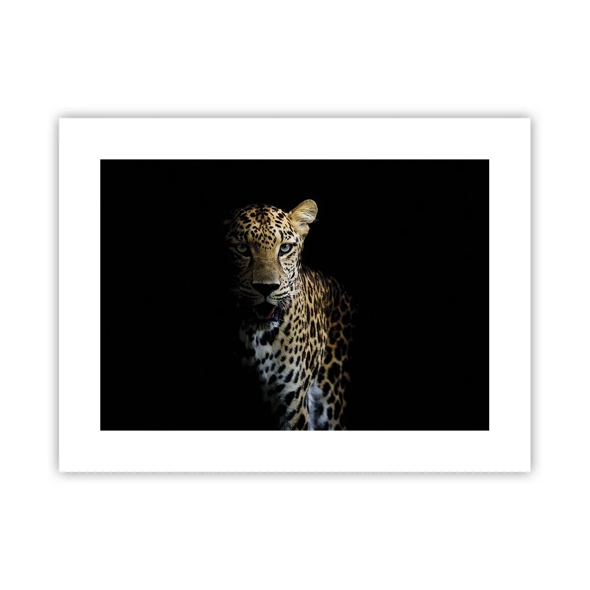 Poster - Bellezza tenebrosa - 40x30 cm