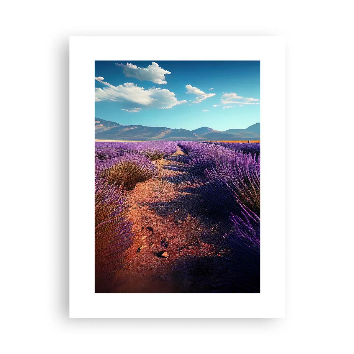 Poster - Campi profumati - 30x40 cm