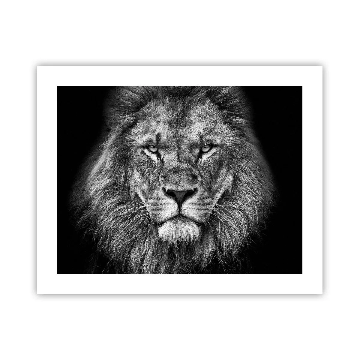 Poster - Nell'abito dell'incoronazione - 50x40 cm