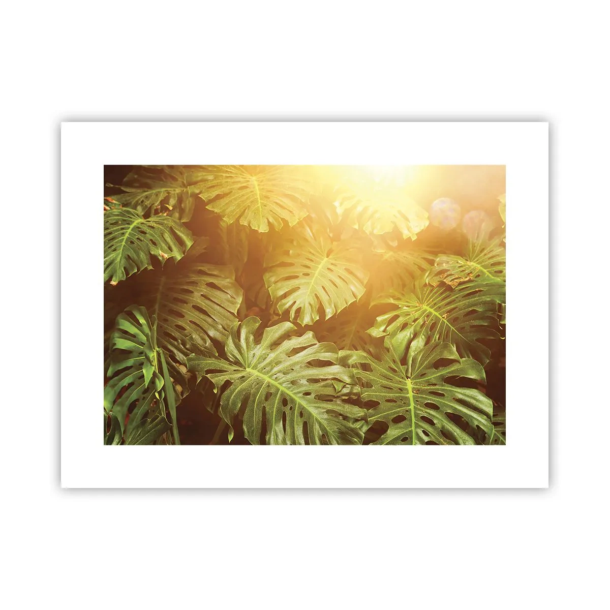 Poster - Entrando nel verde... - 40x30 cm