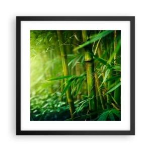Poster in cornice nera - Conoscere il verde in sé - 40x40 cm