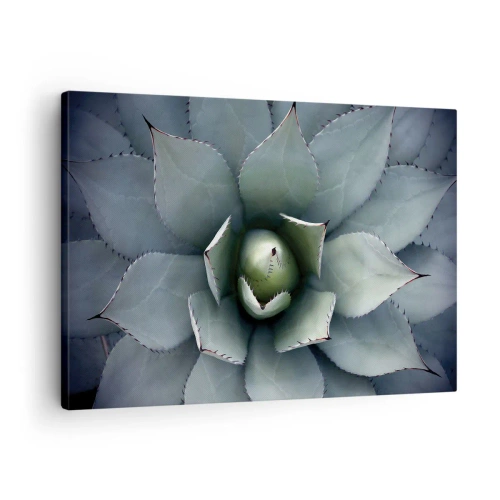 Quadro su tela - Stampe su Tela - Primo piano di una rosetta di agave in delicate tonalità di verde - 70x50cm - Adesca e minaccia - Decorazione murale moderna per soggiorno e camera da letto ARTTOR