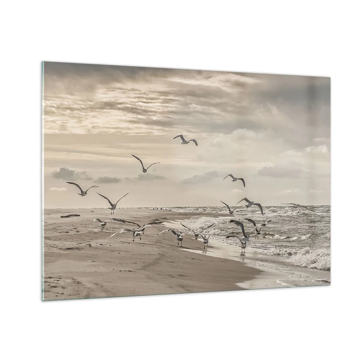Quadro su vetro - Uccelli sulla riva del mare all'alba nei toni seppia - 100x70cm - Brusio del mare, canto degli uccelli - Decorazione murale moderna per soggiorno e camera da letto ARTTOR