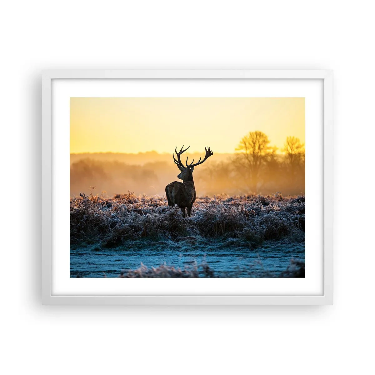 Poster in cornice bianca - Incoronato nelle sue terre - 50x40 cm