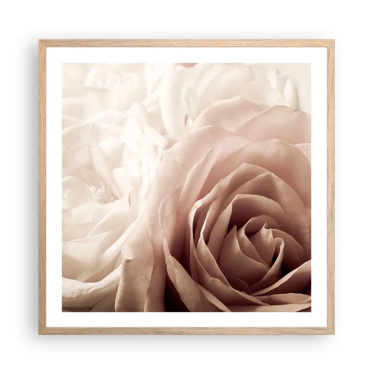 Poster in cornice rovere chiaro - Nel cuore della rosa - 60x60 cm