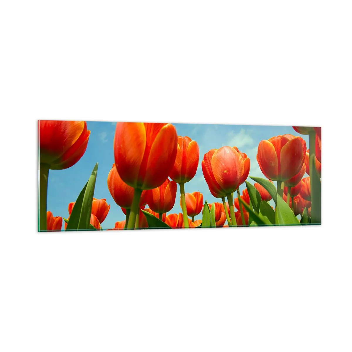 Quadro su vetro - A loro non serve nulla oltre al cielo azzurro - 90x30 cm