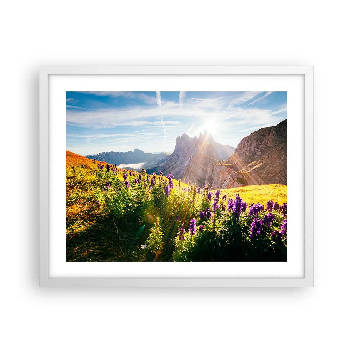 Poster in cornice bianca - La vita segreta delle erbe - 50x40 cm