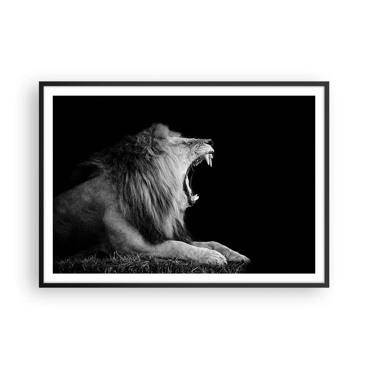 Poster in cornice nera - Un leone ruggente su sfondo nero nei toni del bianco e del nero - 100x70cm - Senza alcun dubbio - Decorazione murale moderna per soggiorno e camera da letto ARTTOR