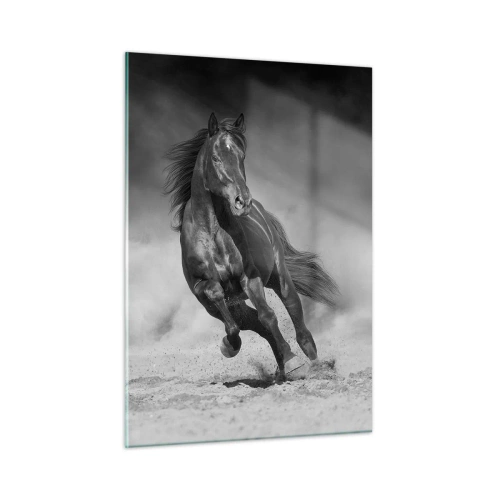 Quadro su vetro - Un cavallo nero che galoppa sulla sabbia in bianco e nero. - 50x70cm - Degno dell'emiro - Decorazione murale moderna per soggiorno e camera da letto ARTTOR