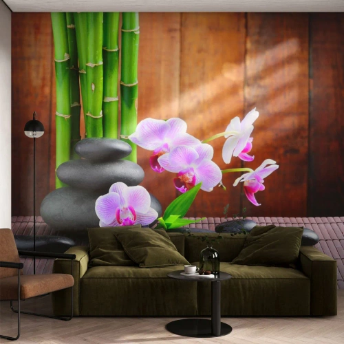 Fotomurali Premium Canvas - Scopri i piaceri dell'oriente - Fiori, Orchidea, Orchidea - 250x175 cm