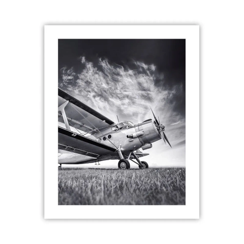 Poster - Giramondo alato - 40x50 cm