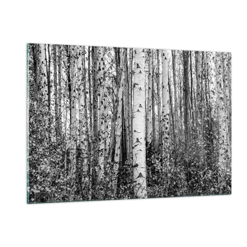 Quadro su vetro - Betulle bianche e nere creano un paesaggio forestale denso - 120x80cm - Colonnato di betulle - Decorazione murale moderna per soggiorno e camera da letto ARTTOR