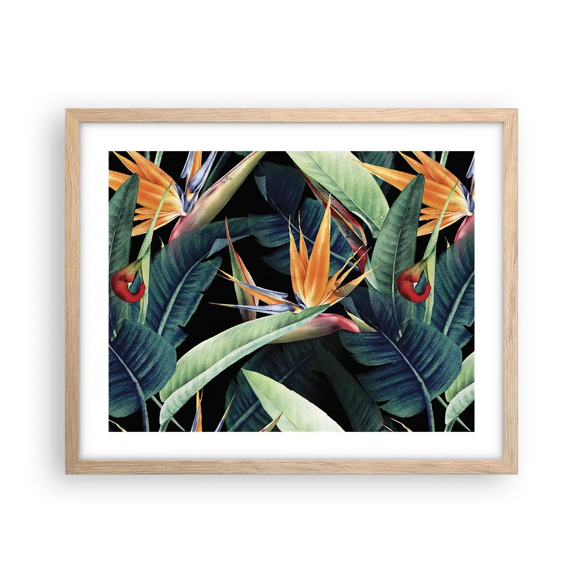 Poster in cornice rovere chiaro - I fiori fiammeggianti dei tropici - 50x40 cm