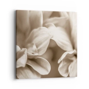 Quadro su tela - Stampe su Tela - Mite come un sorriso - 40x40 cm