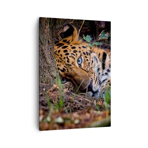 Quadro su tela - Stampe su Tela - Un leopardo sdraiato all'ombra degli alberi - 50x70cm - Fidati di me - Decorazione murale moderna per soggiorno e camera da letto ARTTOR
