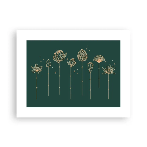 Poster - La famiglia delle erbe - 40x30 cm