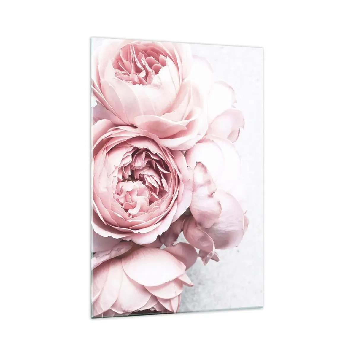 Quadro su vetro - Peonie rosa in luce soffusa su uno sfondo chiaro - 70x100cm - Per i romantici - Decorazione murale moderna per soggiorno e camera da letto ARTTOR