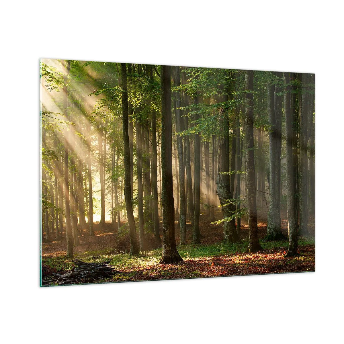 Quadro su vetro - Raggi di sole che brillano attraverso gli alberi nella foresta - 100x70cm - Raggiante in un mattino di primavera - Decorazione murale moderna per soggiorno e camera da letto ARTTOR