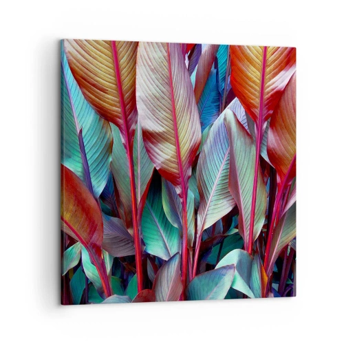 Quadro su tela - Stampe su Tela - Selva colorata - 50x50 cm
