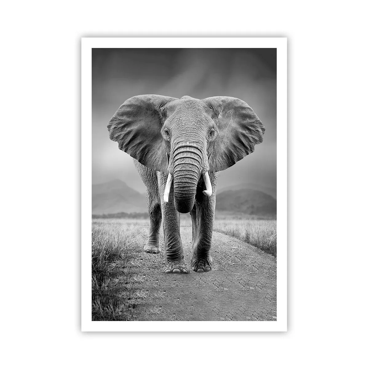 Poster - Il padrone di casa dà il benvenuto - 70x100 cm