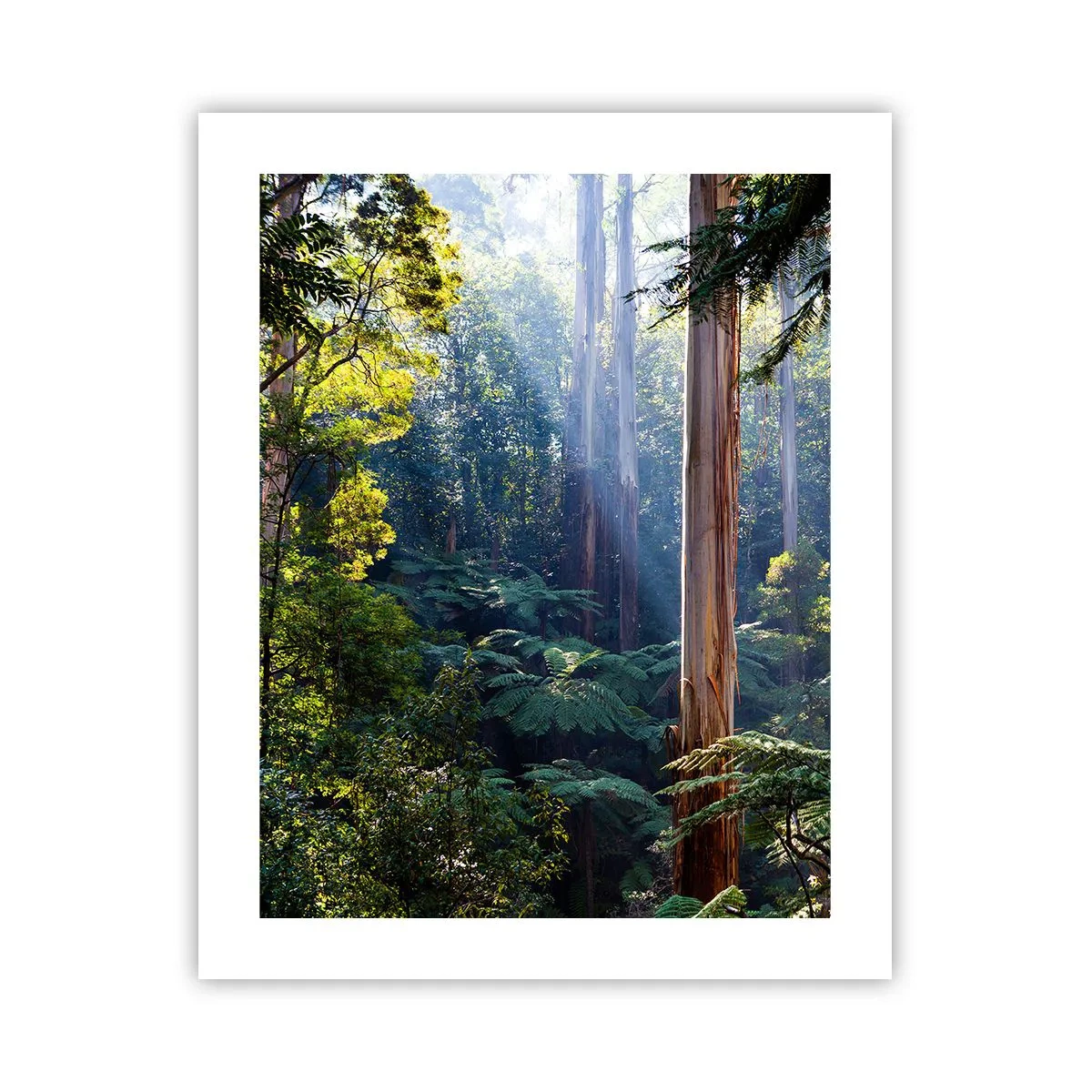 Poster - La favola del bosco - 40x50 cm