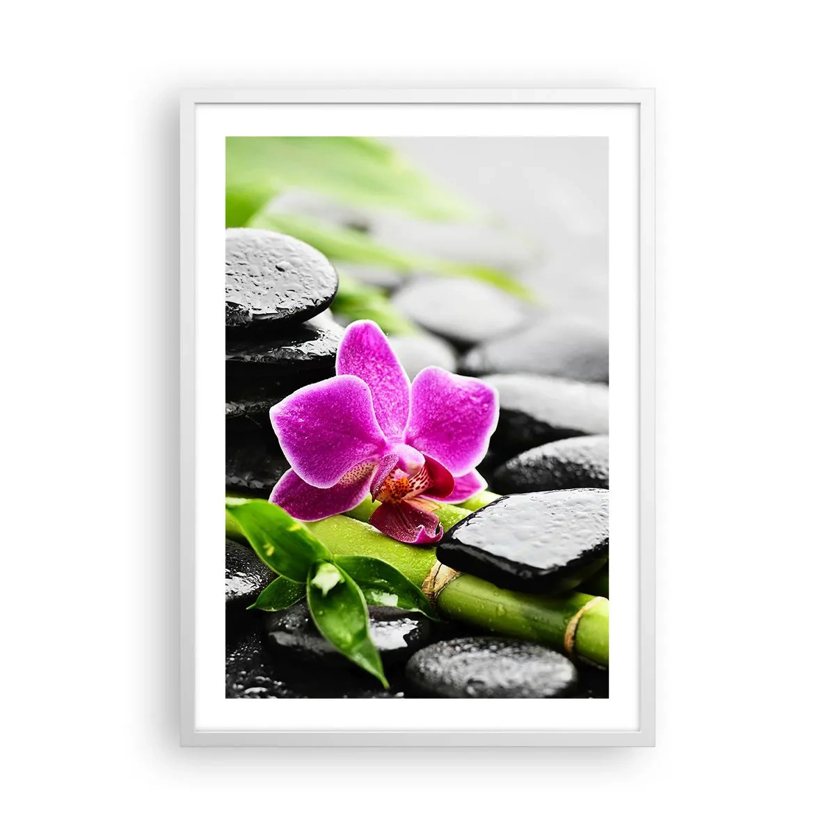 Poster in cornice bianca - Un tranquillo equilibrio - 50x70 cm