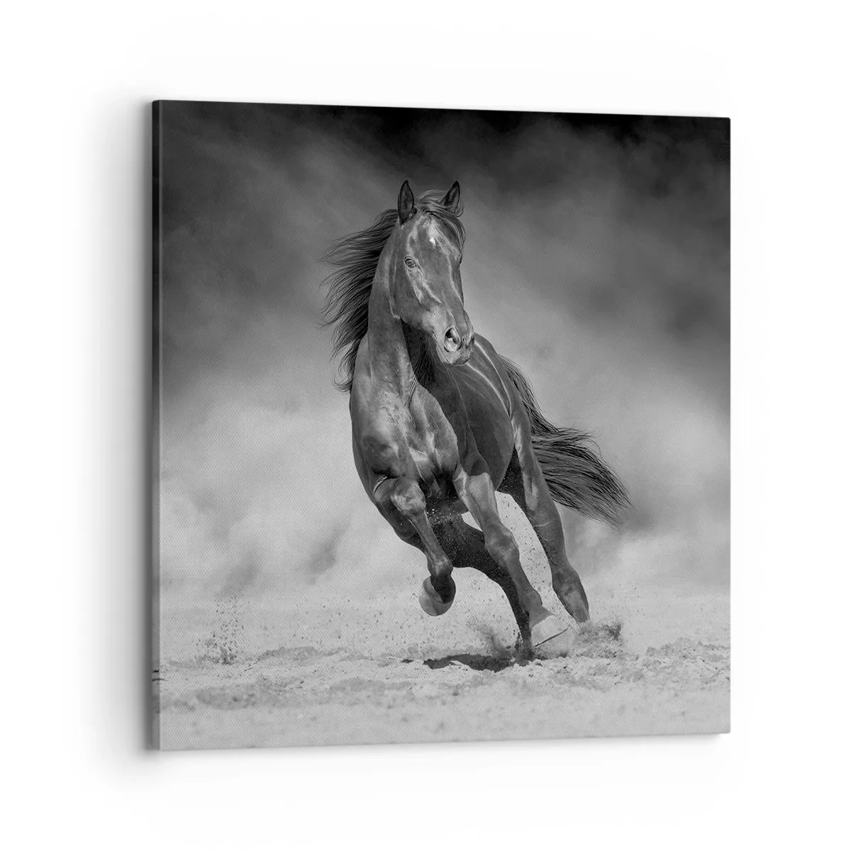 Quadro su tela - Stampe su Tela - Degno dell'emiro - 70x70 cm