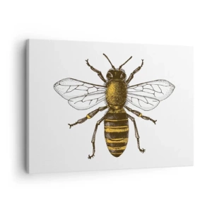 Quadro su tela - Stampe su Tela - Illustrazione dettagliata di un'ape su sfondo bianco - 70x50cm - Bella e buona - Decorazione murale moderna per soggiorno e camera da letto ARTTOR