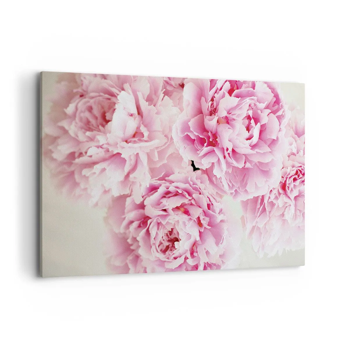 Quadro su tela - Stampe su Tela - Un bouquet di peonie rosa su uno sfondo chiaro - 100x70cm - Nel fasto rosa - Decorazione murale moderna per soggiorno e camera da letto ARTTOR