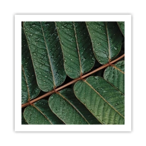 Poster - Al ritmo verde - 60x60 cm