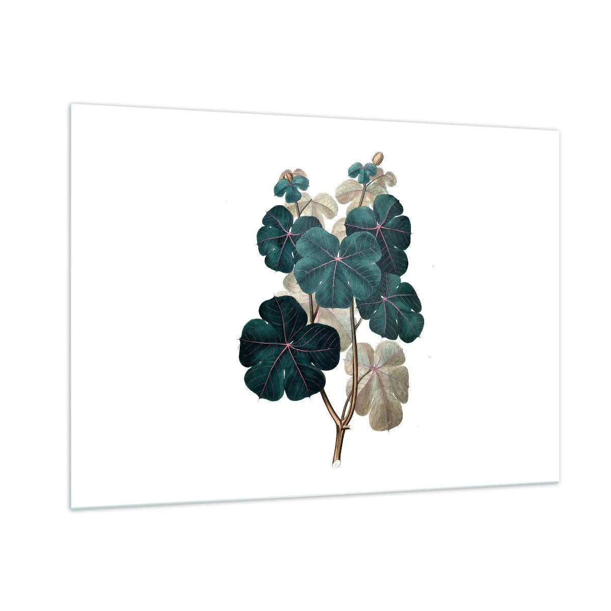 Quadro su vetro - Illustrazione botanica di foglie verdi su sfondo bianco - 100x70cm - Dal vecchio erbario - Decorazione murale moderna per soggiorno e camera da letto ARTTOR