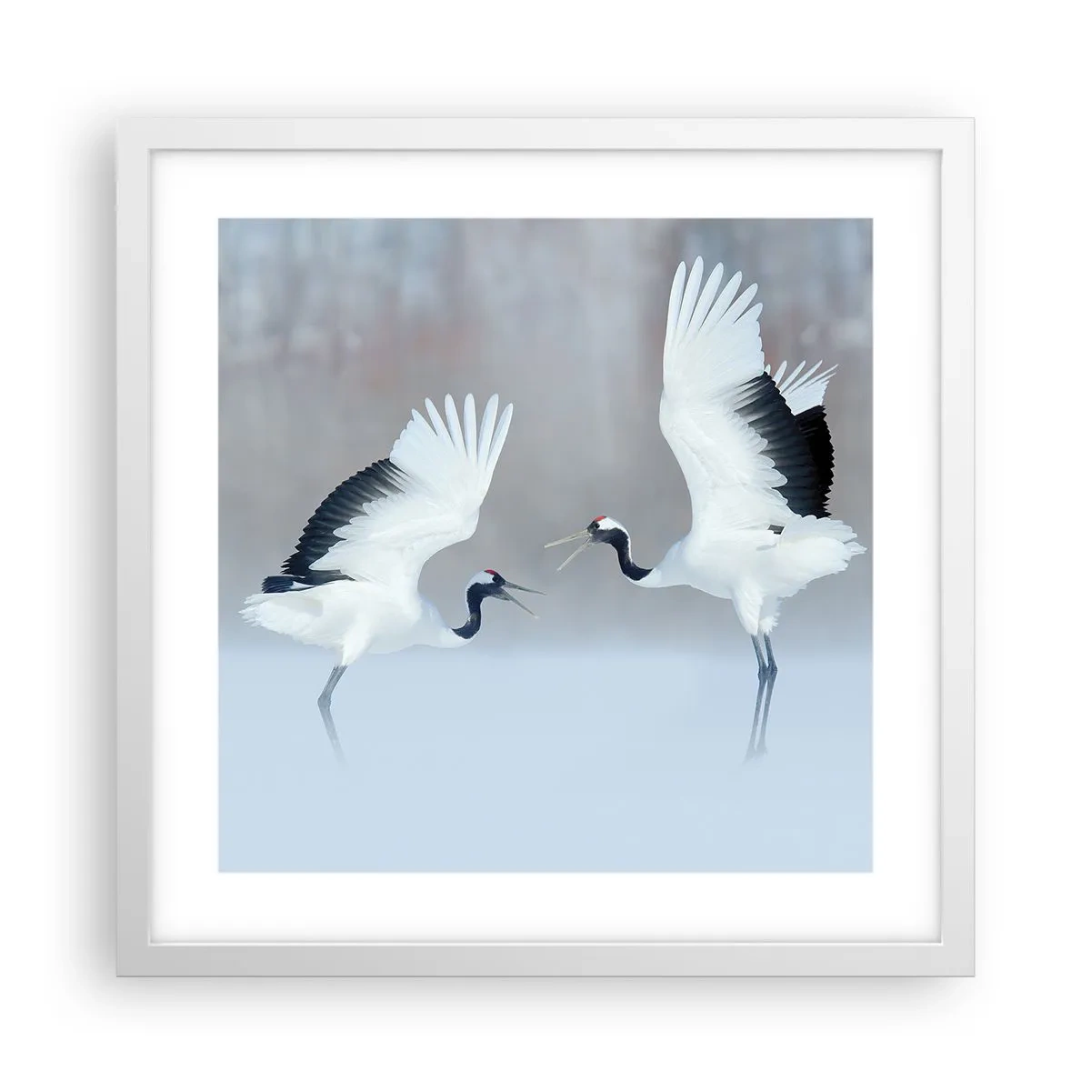 Poster in cornice bianca - Danza nella nebbia - 40x40 cm