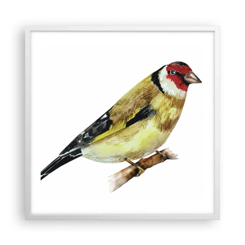Poster in cornice bianca - Ritratto di uccello - 60x60 cm
