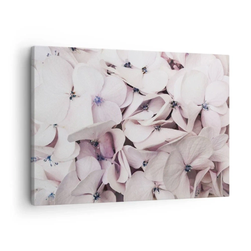 Quadro su tela - Stampe su Tela - Delicate ortensie bianche in tonalità pastello - 70x50cm - Un'alluvione di fiori - Decorazione murale moderna per soggiorno e camera da letto ARTTOR