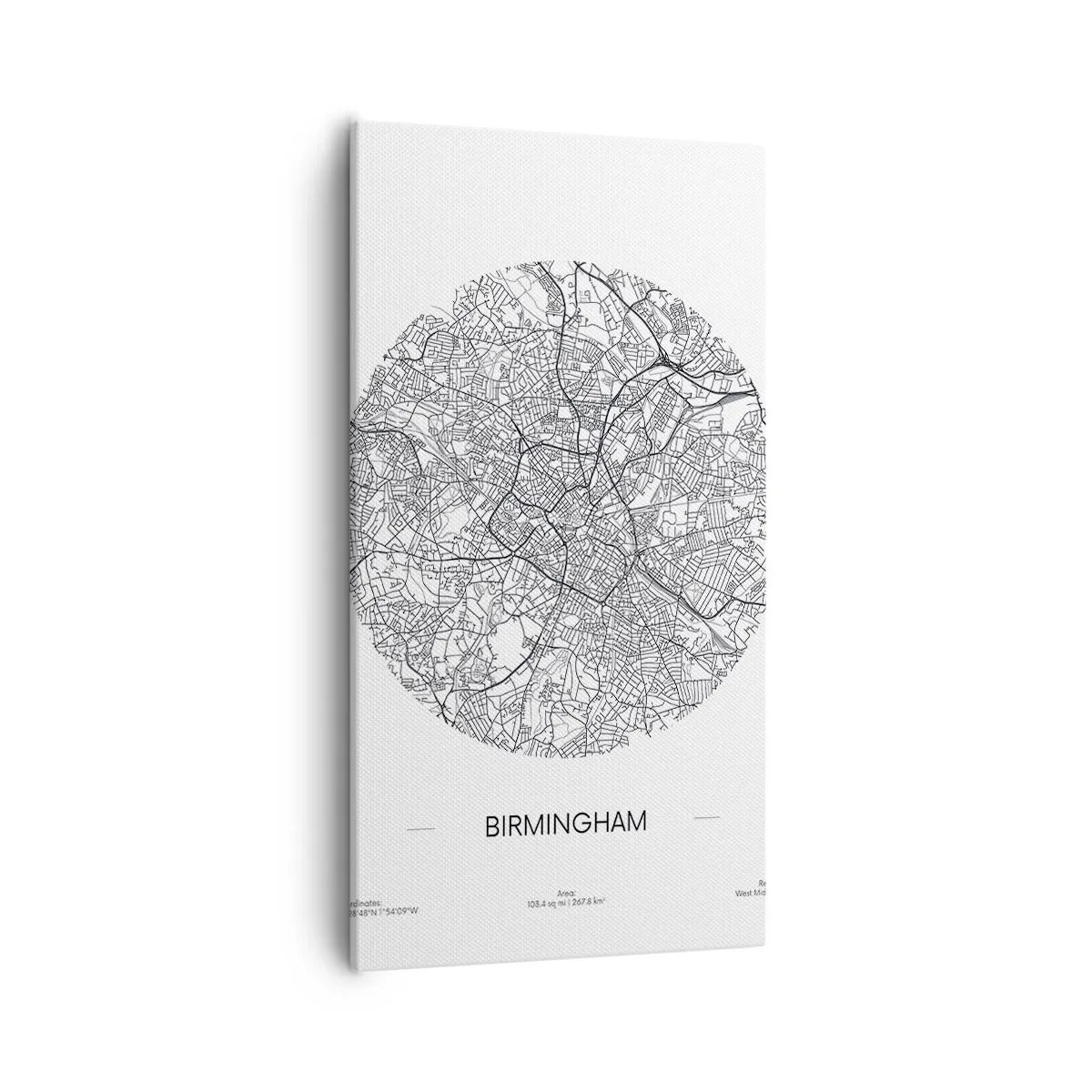 Quadro su tela - Stampe su Tela - Anatomia di Birmingham - 55x100 cm