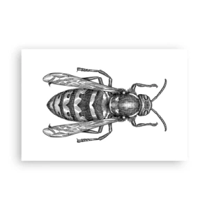 Poster - Dal pianeta degli insetti - 91x61 cm