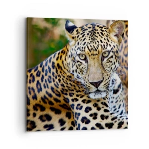 Quadro su tela - Stampe su Tela - Selvaggio e tranquillo - 70x70 cm