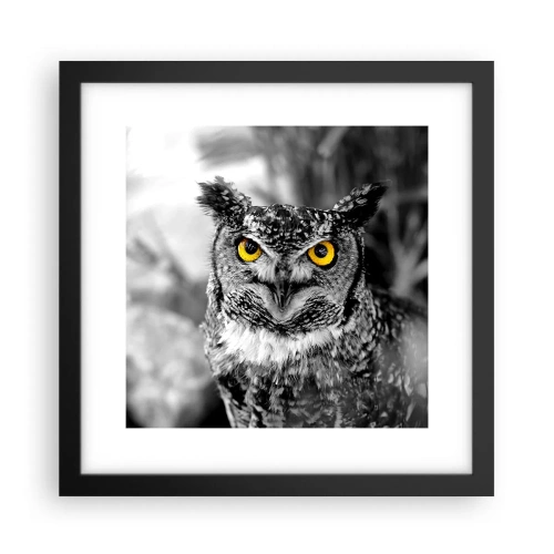 Poster in cornice nera - Non si può nascondere niente - 30x30 cm