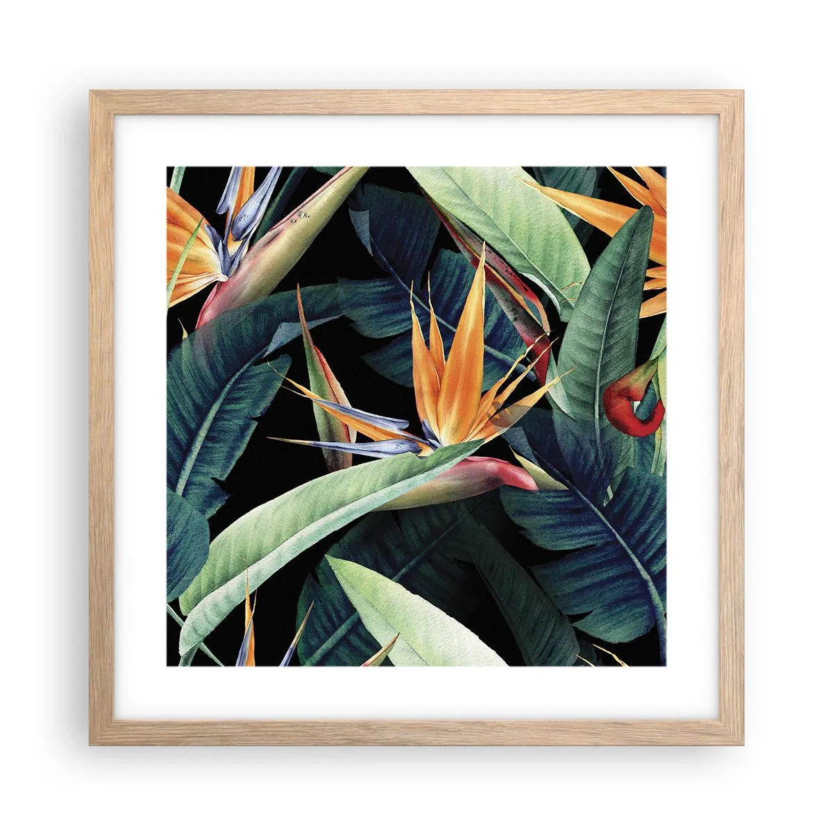 Poster in cornice rovere chiaro - I fiori fiammeggianti dei tropici - 40x40 cm