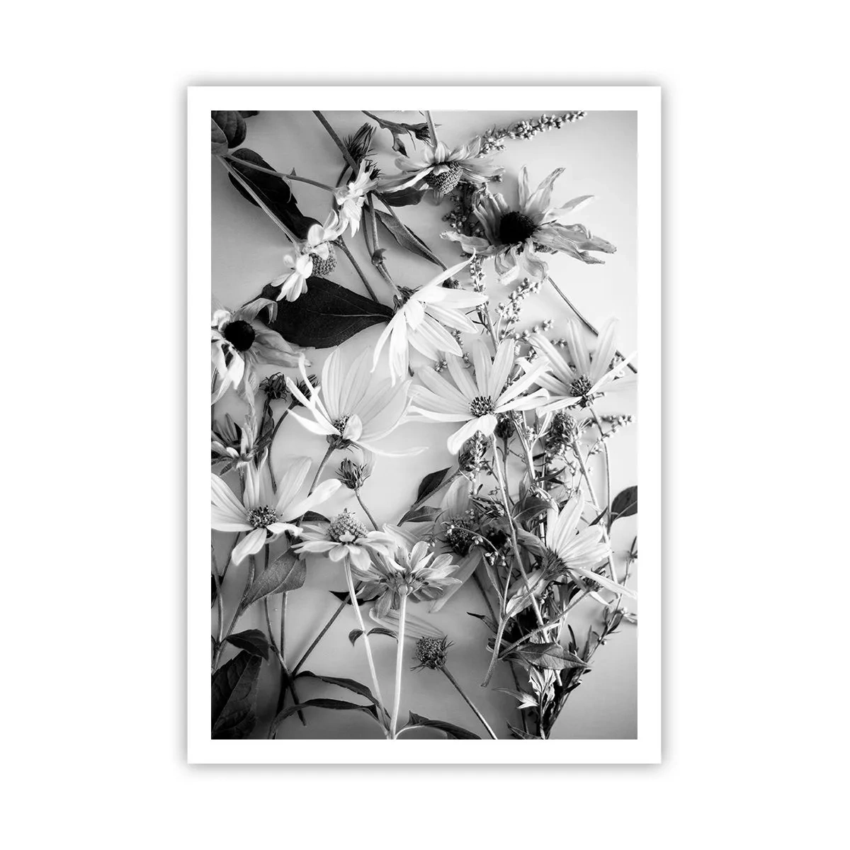Poster - Un non bouquet di fiori - 70x100 cm