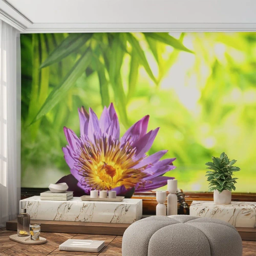 Fotomurali Premium Canvas - Al sole dell'Asia - Fiore, fiore di loto, Bambù - 350x256 cm
