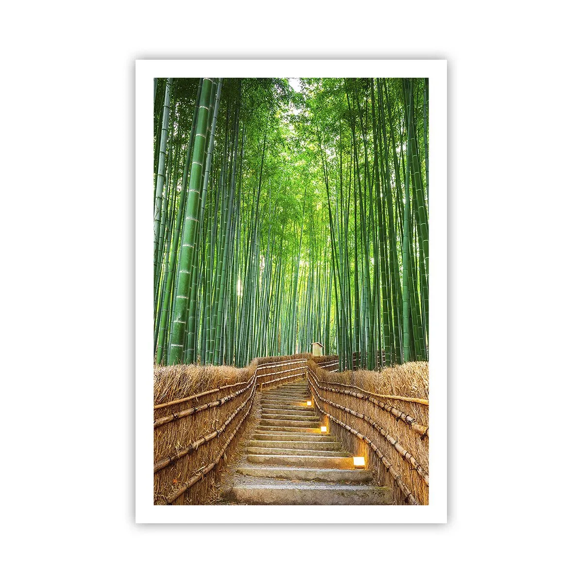 Poster - Essenza della natura asiatica - 61x91 cm