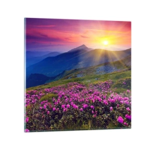 Quadro su vetro - Odore di mugo e profumo di erbe - 60x60 cm