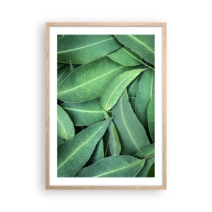 Poster in cornice rovere chiaro - Succosi e freschi - 50x70 cm